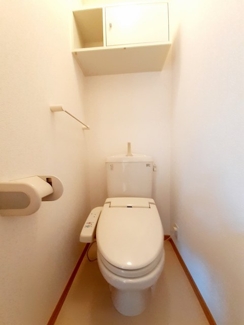 カーム・リリー その他4