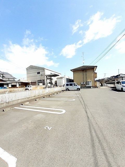 カーム・リリー その他6