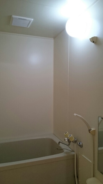 ドミール・ジョリー 風呂画像