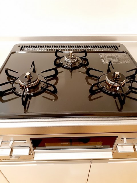 ガーベランスＡ その他2