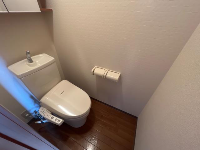 プラムガーデン Sin その他1