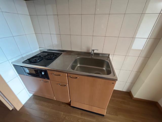 プラムガーデン Sin その他10