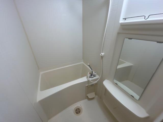 プラムガーデン Sin 風呂画像