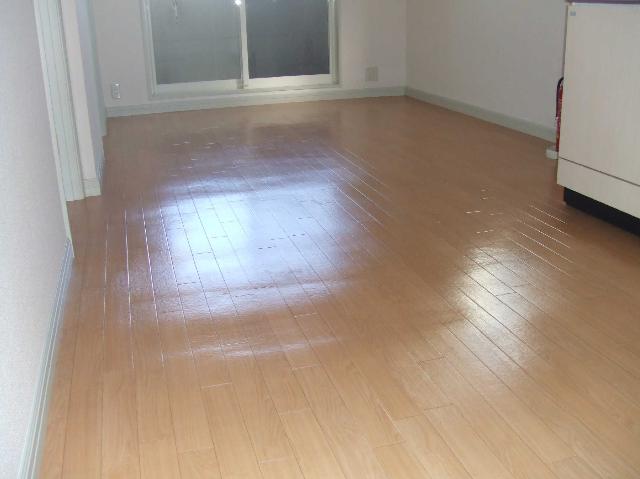 スカイコーポ垣生 リビング