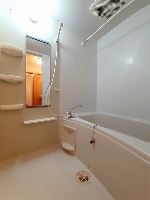 ピエタ・フィリアーレ椿　Ｂ 風呂画像