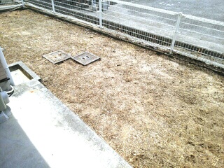 パルテノン吉藤Ｃ その他6