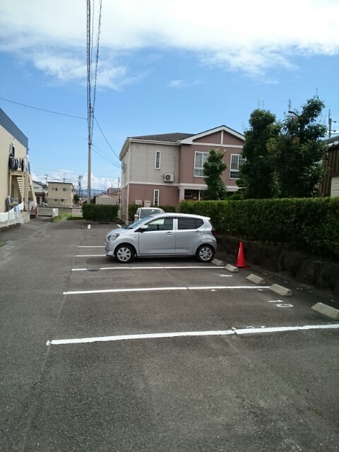 グリーンリーフ その他6