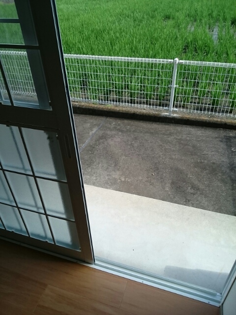 グリーンリーフ ベランダ