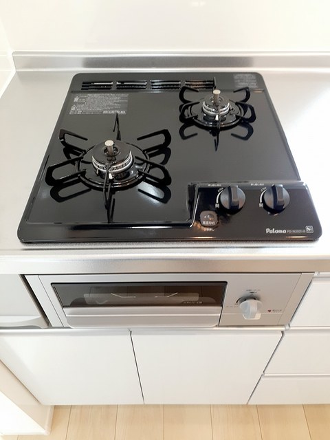 ヴァン・シュシュ その他1