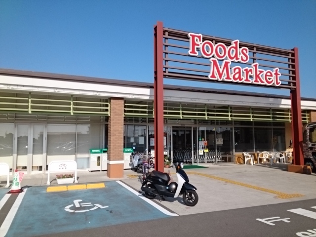 フェリシア・グレイス その他外観1