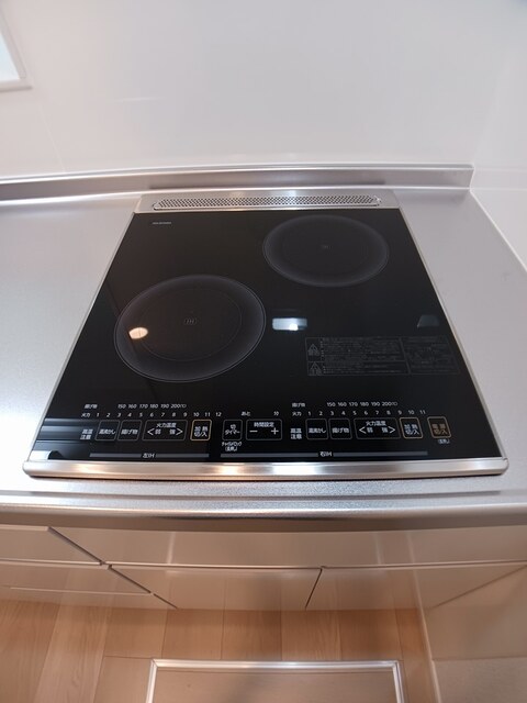 プラシードカーサＸＩ その他2