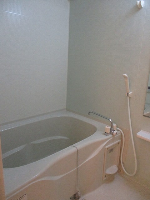 ア　ピアチェーレ　Ⅱ 風呂画像