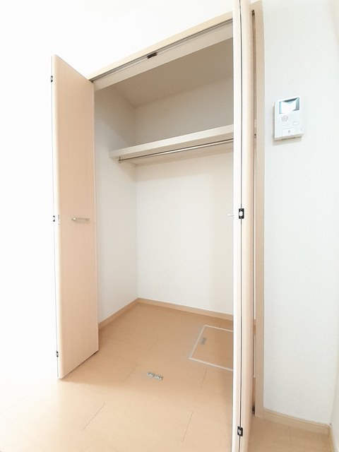 プラシード・Ｍ その他2