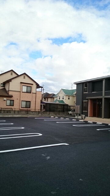 さくら　Ⅱ その他6