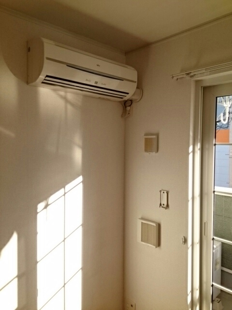 ミモザ その他4