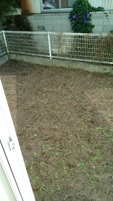 ピュアハイムＣ ベランダ