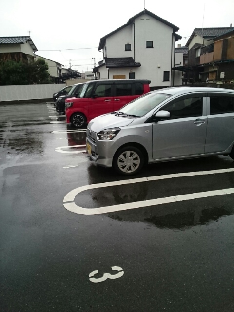 メリーアドニス　Ｂ その他7