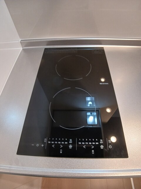 ディーア・レオラ その他2