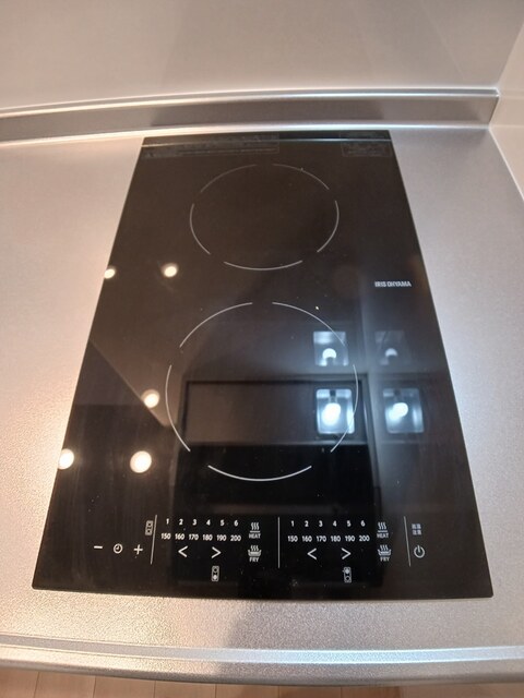 ディーア・レオラ その他2