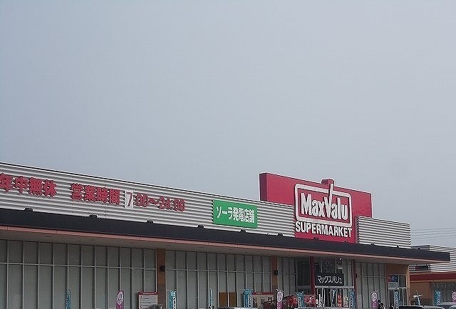 プラシードカーサⅥ その他外観3