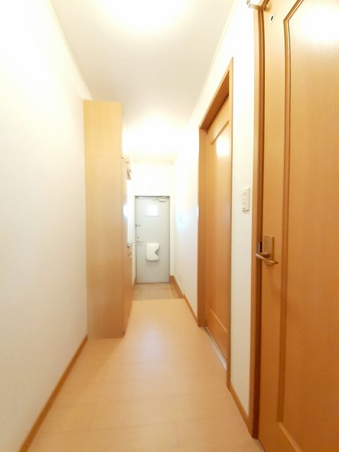 ファイン　エクセレント　Ｋ その他2