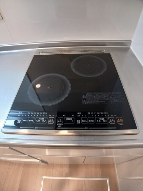 プラシードカーサＸＩ その他2