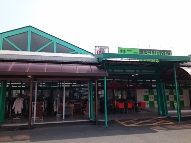 クレメント椿 その他外観1