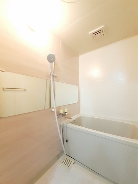 ドミールハイツ　Ⅴ 風呂画像