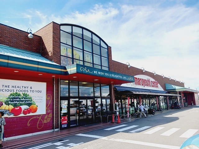 ドミール・マイン その他外観1