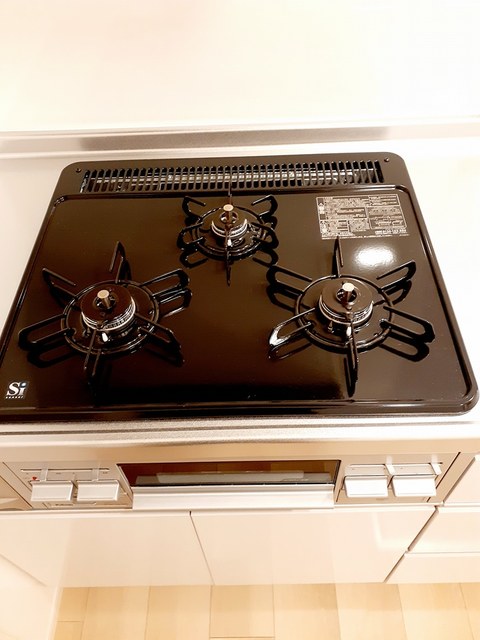 セレノカーサＡ その他2