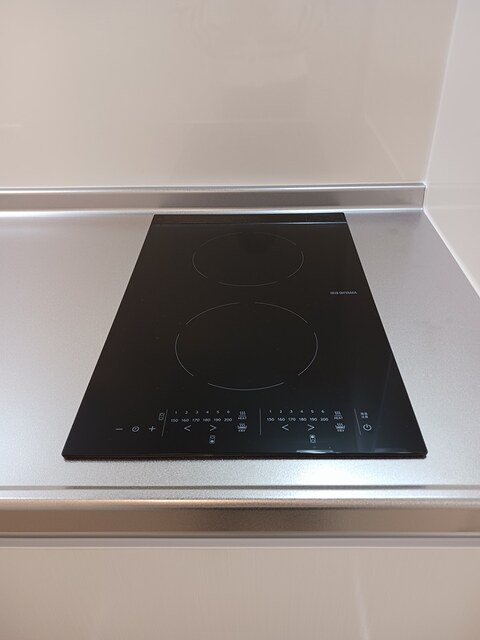 ファレノプシスⅠ その他2