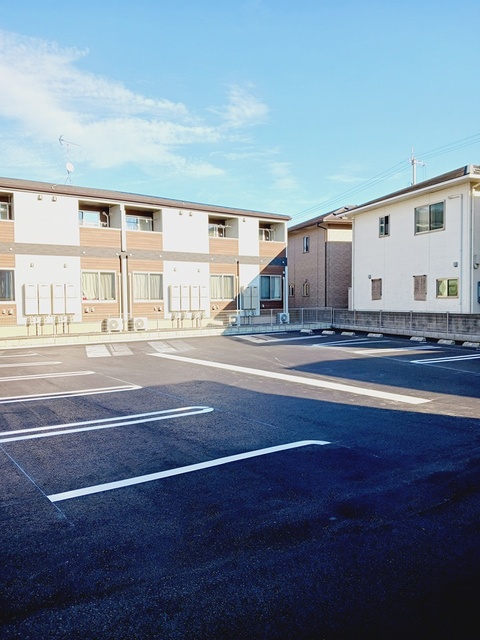 ファレノプシスⅠ その他7