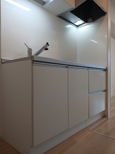 ファレノプシスⅠ キッチン