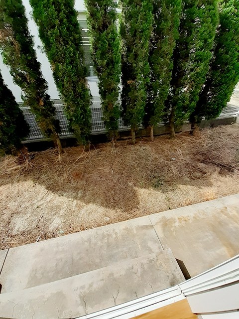 グリーンアビタシオン ベランダ