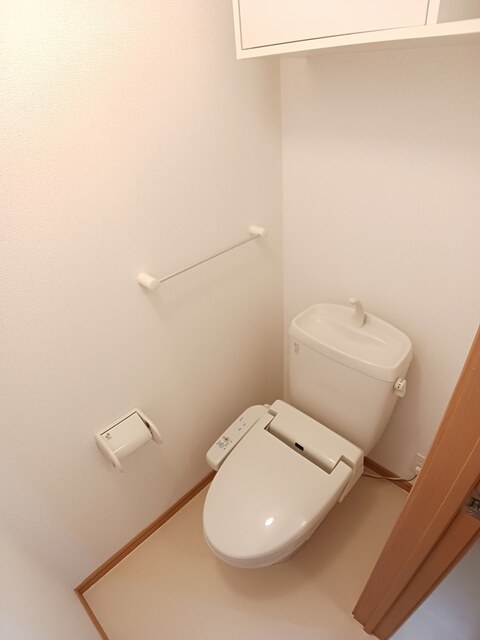 シャイン　ベリー その他3