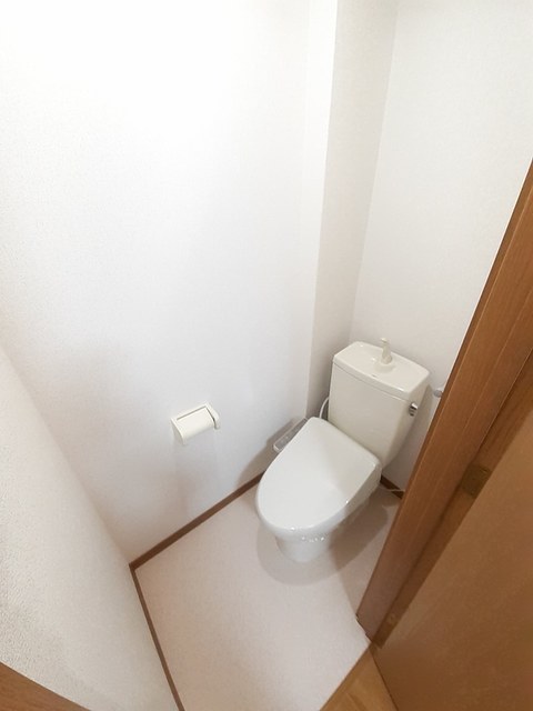 ドミール・ルシパー その他1