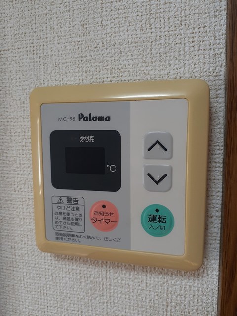 ドミール・ルシパー その他4