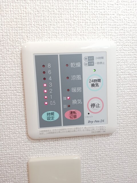 ヴィオラ その他1