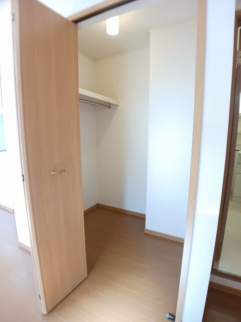 ヴィオラ その他2