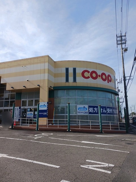 ヴィオラ その他外観3