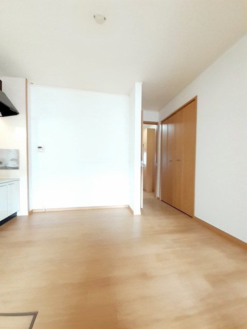 グランド・ライン大西 その他2