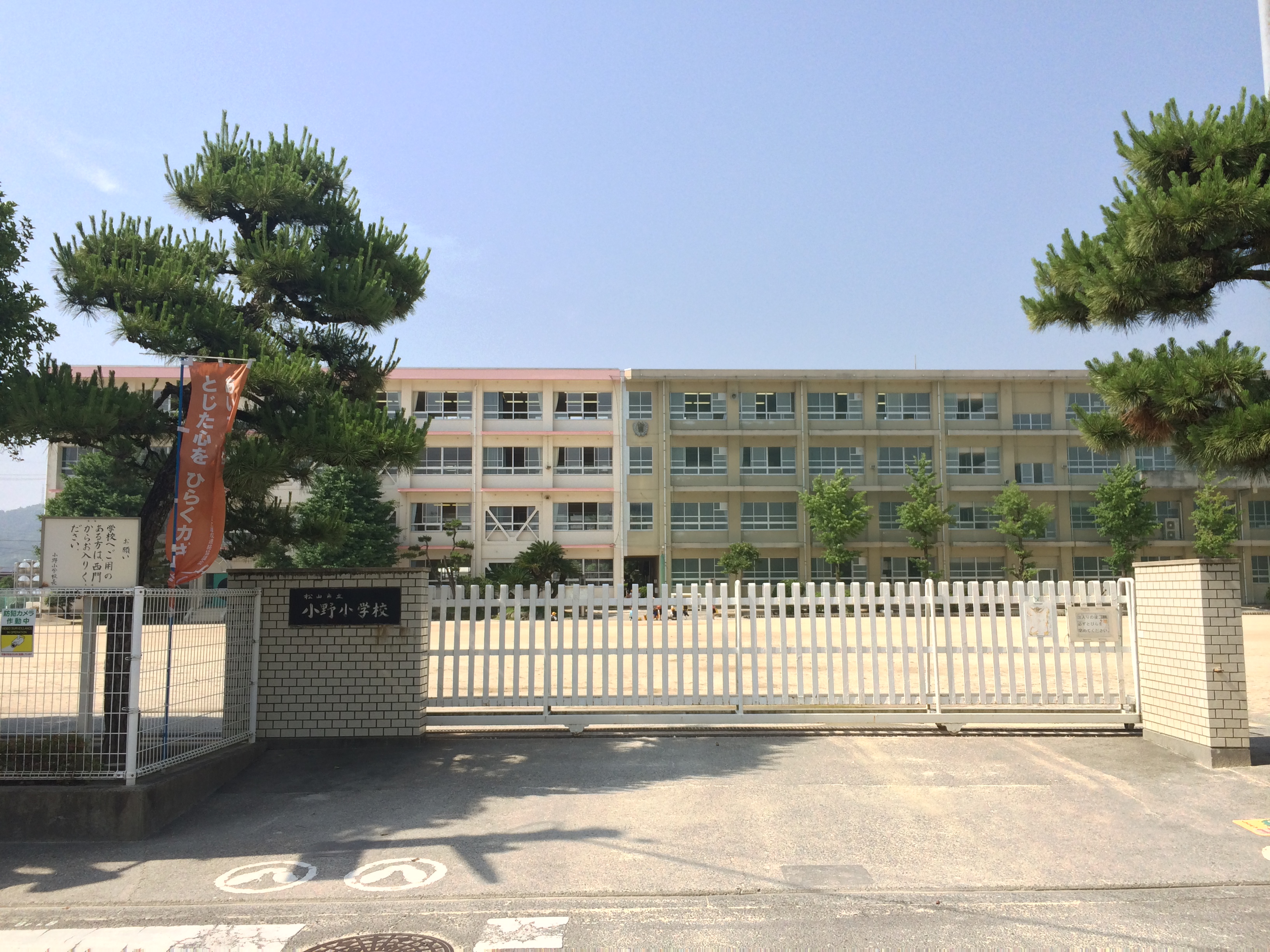 平井町貸家 周辺画像5