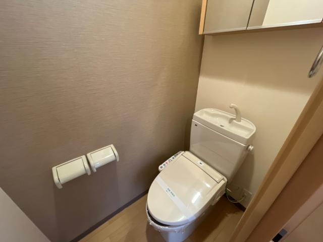 アルファー その他11