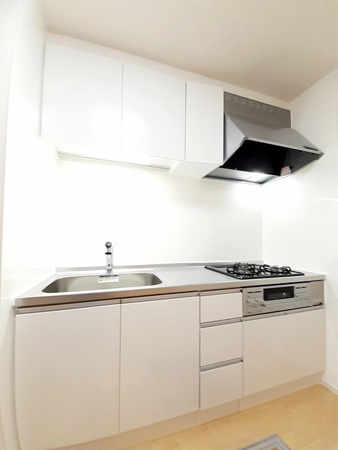 グレースガーデン南高下Ⅲ キッチン