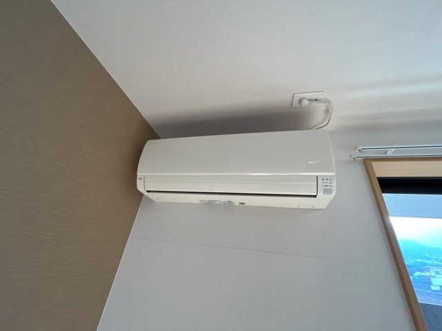 アルファー その他1