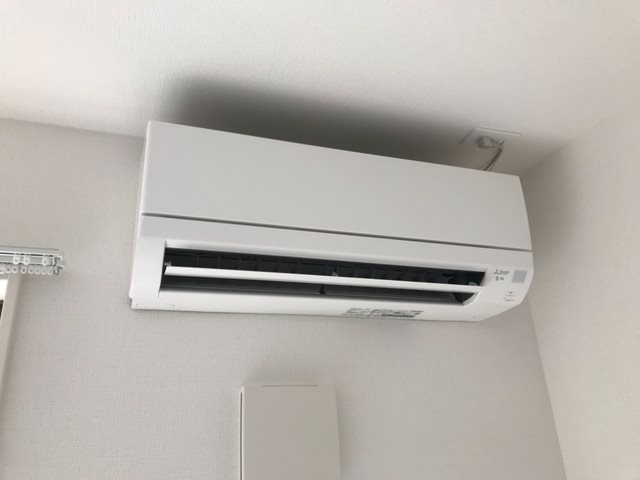 ヴェルジュ　ウマ その他5