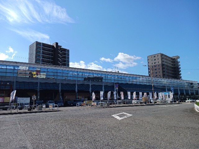 プリムローズ北日吉Ⅱ その他外観6