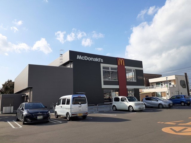 サラマンダー その他