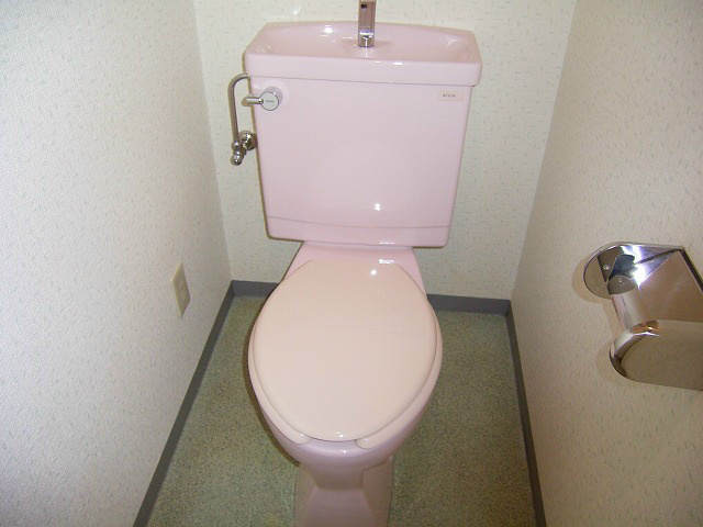 ハイリードセイフウ その他2