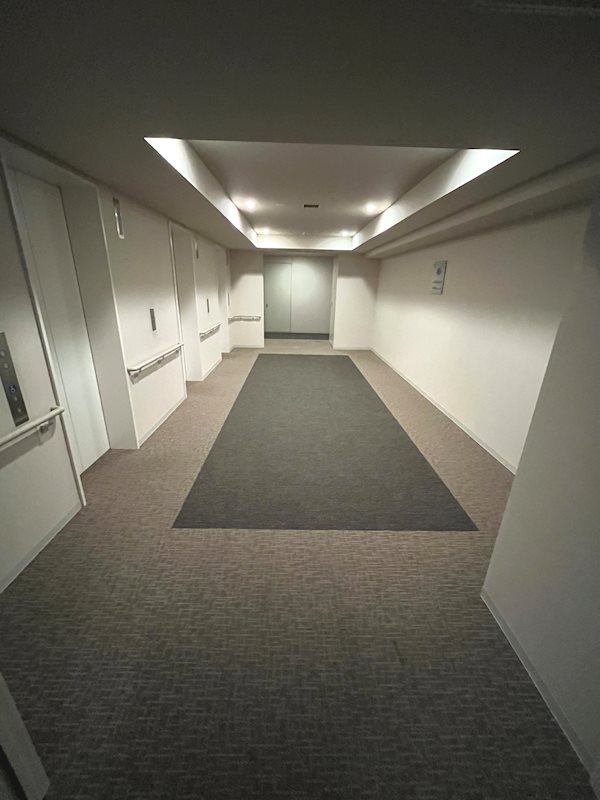 ザ・パークハウス西新宿タワー60 その他外観3